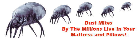 mites2