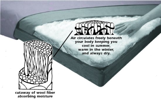 wool2
